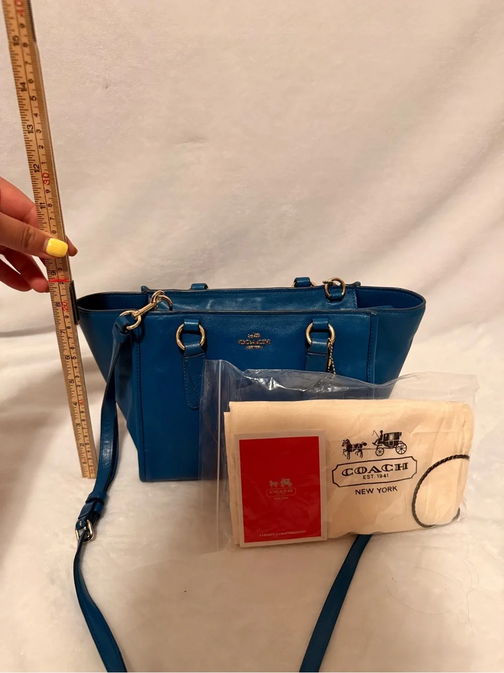 Coach Crosby Mini Carryall in Smooth Leather